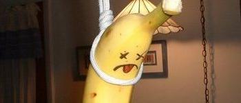 El chavista aspirante a burgués de espíritu suicida