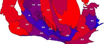 Venezuela tricolor. Parte II