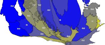 Venezuela tricolor. Parte II