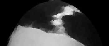 El pepino es español, pero la mierda ¡es alemana!