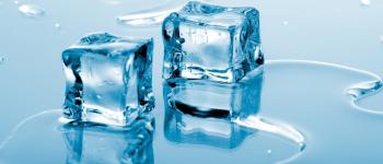 Los bolívares de hielo